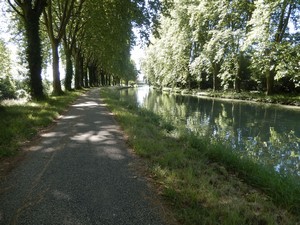 Canal in shade