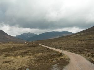 The cart-track to Derry Lodge