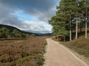 The cart-track from Linn of Dee