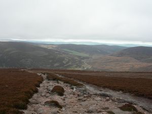 Glen Tanar