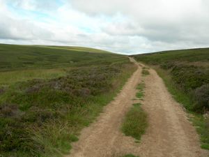 The track to the hill