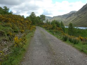 the track to Iron Lodge