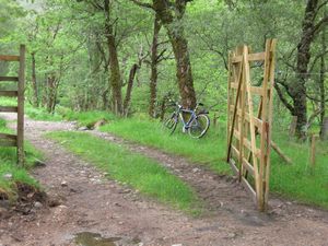 Deer fence