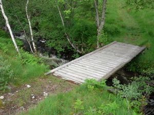 The footbridge