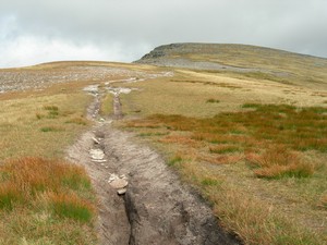 The high ground - less muddy