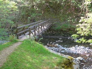 The footbridge