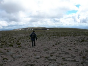 the Beinn a Bhuird plateau