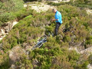 Stowing the bikes in the heather