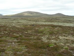 Looking across the Moine Bhealaidh towards Beinn a Chaorainn