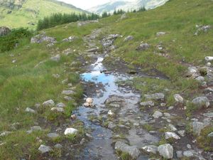 The boggy track