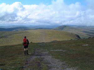 The path from Driesh to Mayar