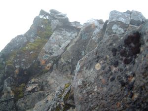 The summit of Sgurr a Greadaidh