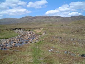 The path by the stream