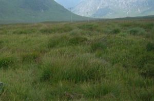 Crossing the heather round Creag Dhubh