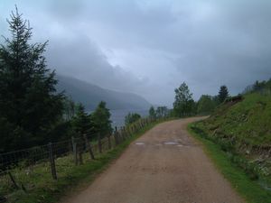 The forestry track along Loch Lochy