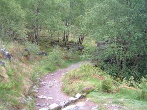 The path through the woody gorge in Glen Nevis