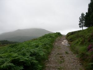 The track towards Toll Creagach