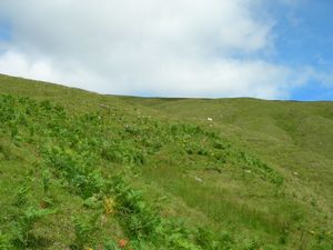 Climbing the hillside