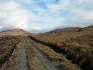 Straight cart-track