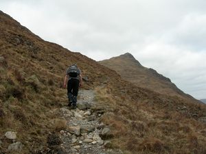 The path to the col