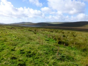 Shetland landscape