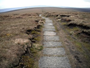 Paving slabs