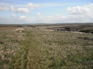 Sleightholme Moor