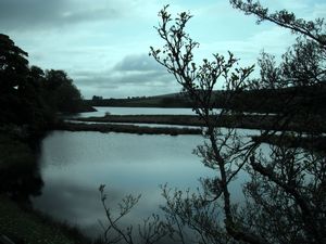 Blackton Reservoir