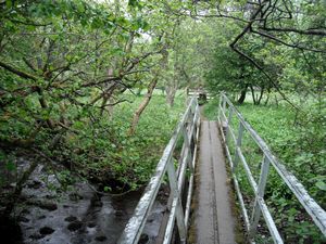 footbridge