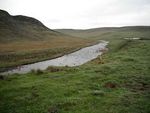 River Tees