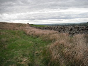 moorland