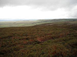 north-west of Troughend Common