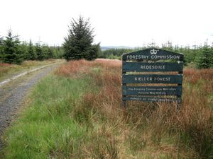 Redesdale Forest