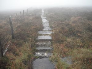 Paving slabs through the bog