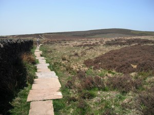 Crossing Elslack Moor