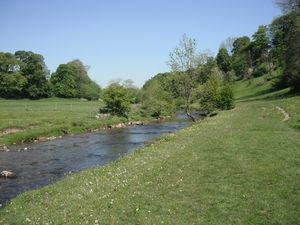 The River Aire