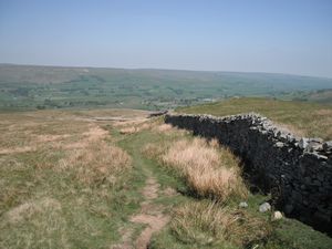 a distant Hawes