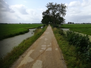 cycle-way