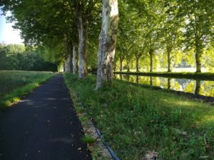 Canal du Rhône au Rhin